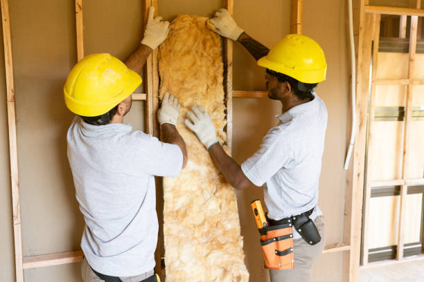 Best Local Insulation Services  in Timnath, CO