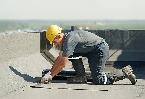 Best Insulation Repair Services  in Timnath, CO