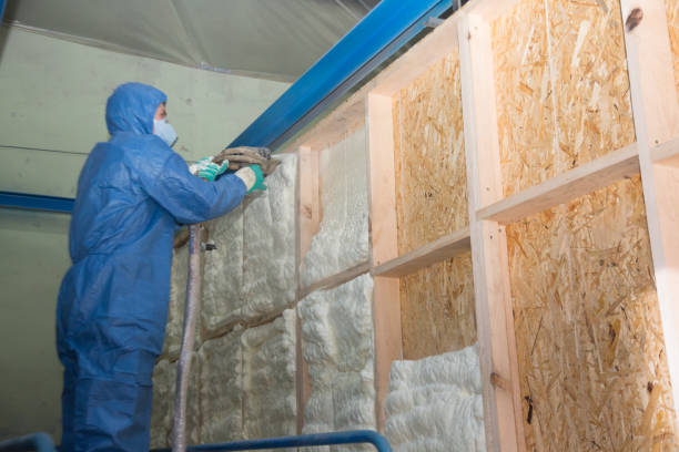 Best Insulation Replacement Services  in Timnath, CO